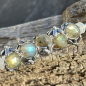Preview: Trollbeads - Alpenstern Edelweiss - People's Bead 2025 - WYSIWYG