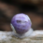 Preview: Trollbeads - Runde Purple Jade, facettiert - WYSIWYG