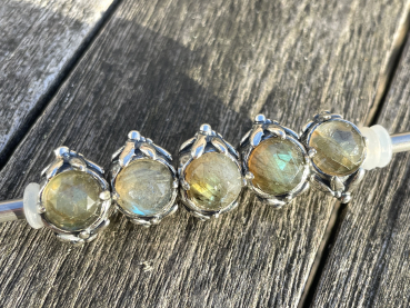 Trollbeads - Alpenstern Edelweiss - People's Bead 2025 - WYSIWYG