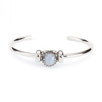 Preview: Trollbeads - Kostbare Erinnerung