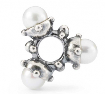 Preview: Trollbeads - Herbst 2022 - Perlenblüte