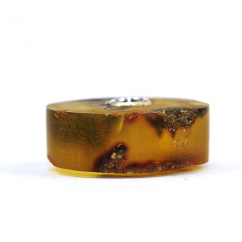 Preview: Katzenmaiers - XL - Bernstein