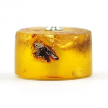 Katzenmaiers - XL - Bernstein