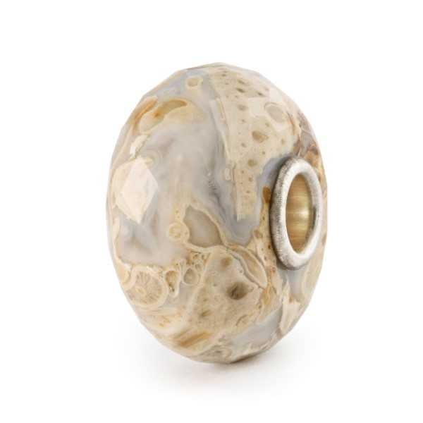 Trollbeads - Fossiles Holz