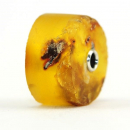 Katzenmaiers - XL - Bernstein